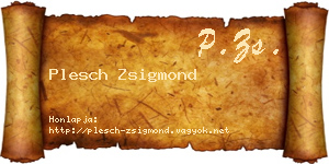 Plesch Zsigmond névjegykártya